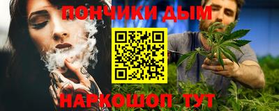 индика Кинель